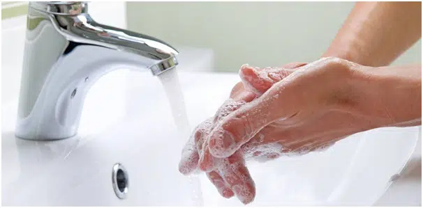 wash your hands