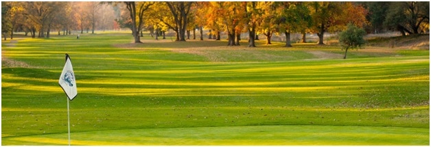 5 Star Plumbing | Top Courses for Golf Lovers in Sacramento