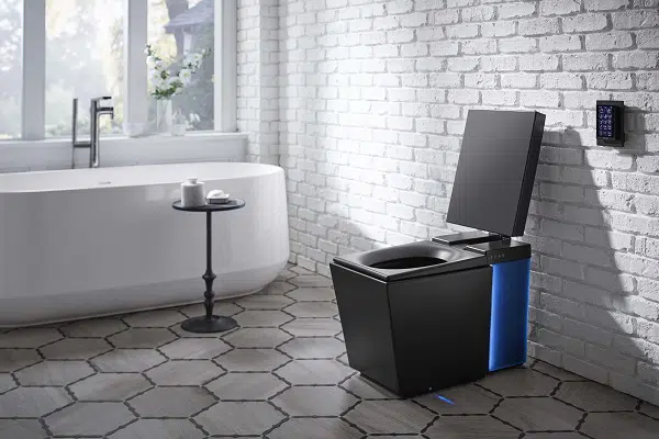 The Future of Plumbing Services
