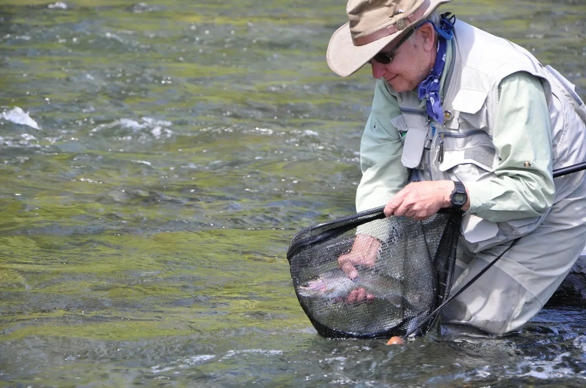 Guided Fishing and Hunting Trips in Sacramento