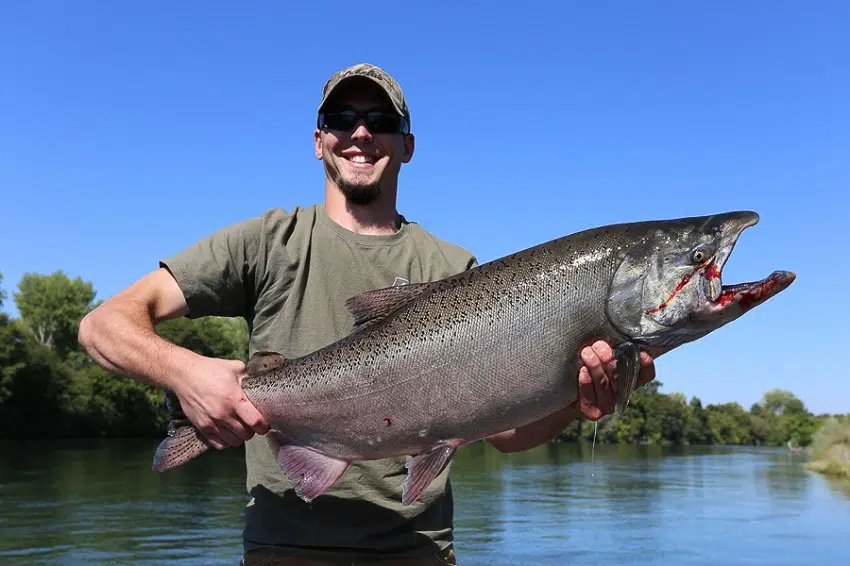 fishing sacramento
