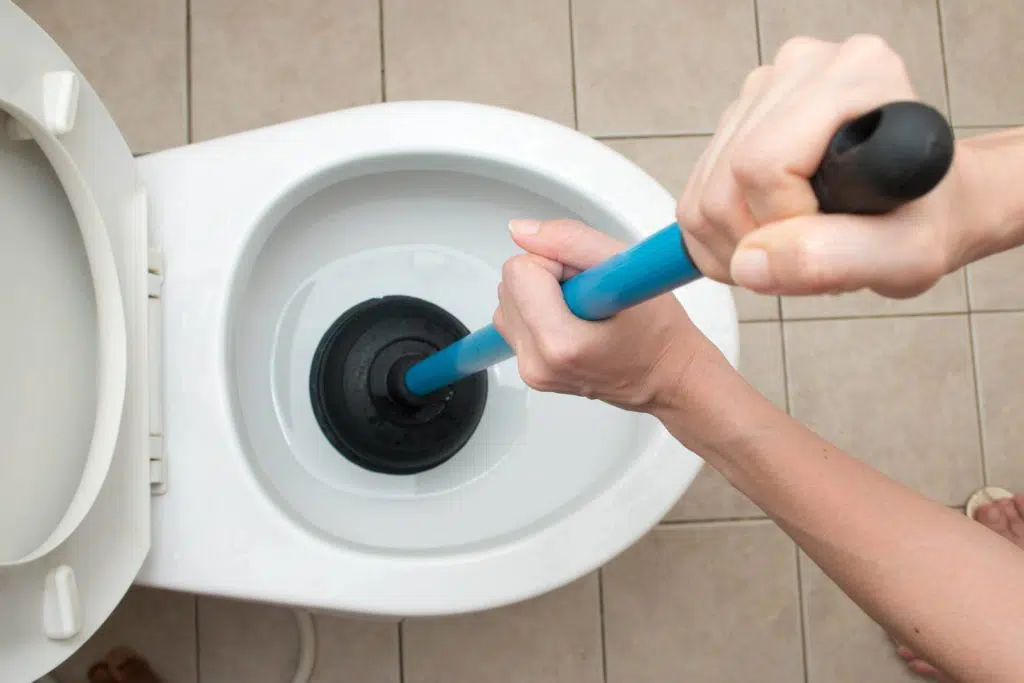 toilet drain cleaning