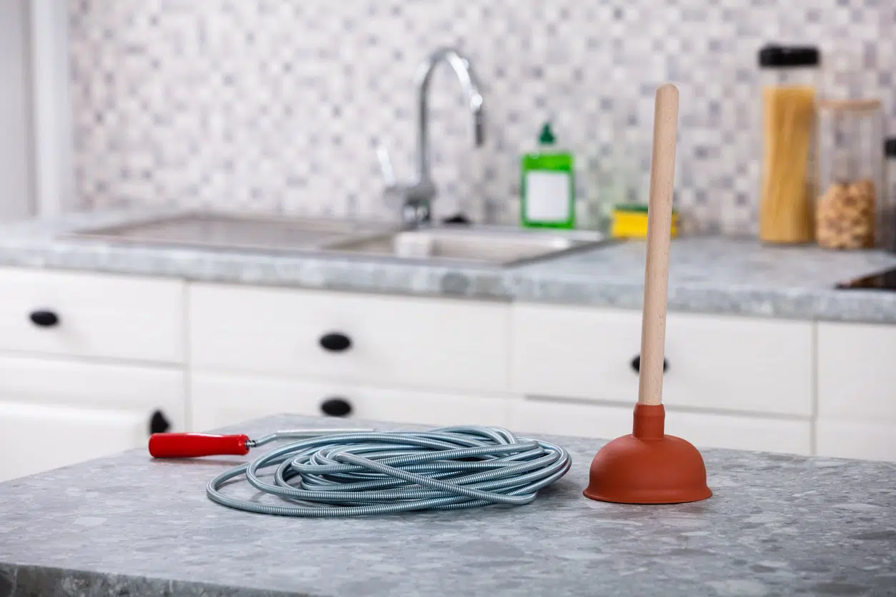 An Indispensable Plumbing Snake