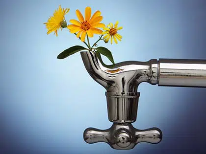 Plumbing for Spring