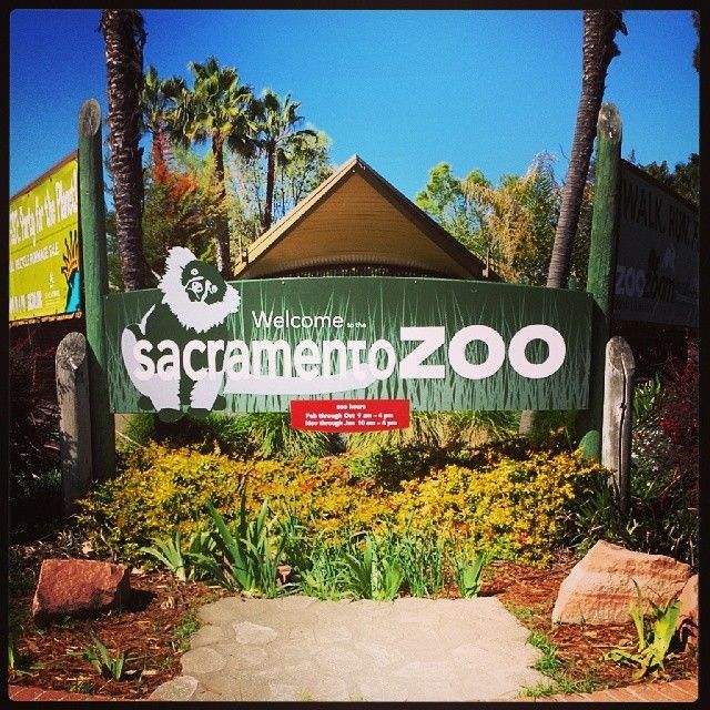 Visit Sacramento Zoo