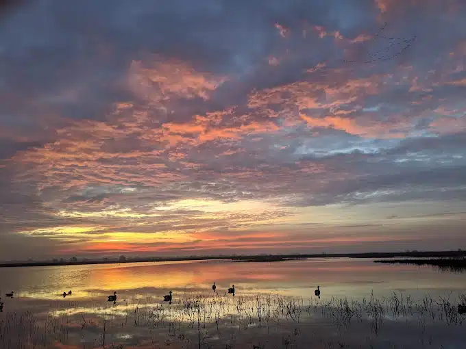5 Star Plumbing | Best 10 Places To Watch The Sunset In Sacramento