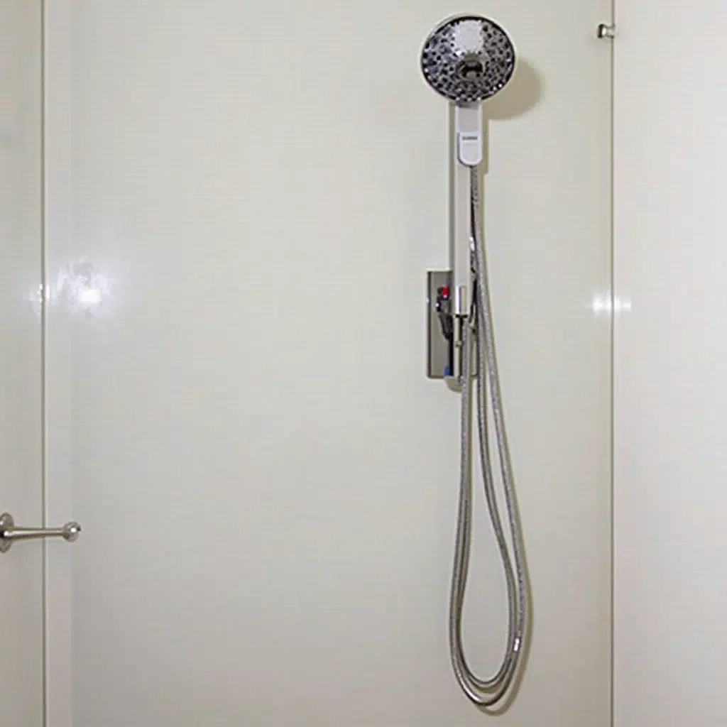 5 Star Plumbing | The Hidden Danger Lurking in Your Shower: What That Black Stuff Really Means