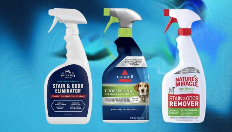 5 Star Plumbing | How to Keep Your Sewer Lines Clean: Expert Tips to Prevent Costly Repairs