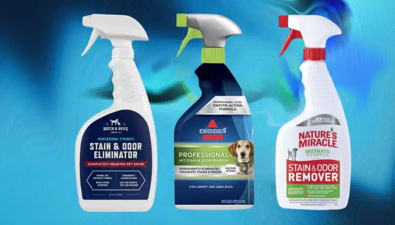 5 Star Plumbing | How to Keep Your Sewer Lines Clean: Expert Tips to Prevent Costly Repairs