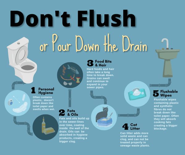 5 Star Plumbing | How to Keep Your Sewer Lines Clean: Expert Tips to Prevent Costly Repairs