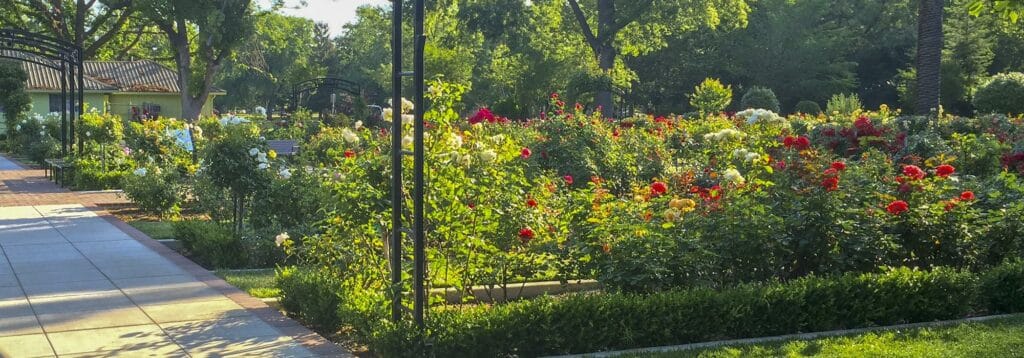 McKinley Park
