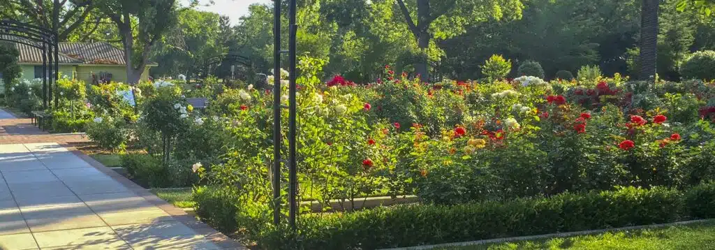 McKinley Park