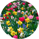 Sacramento Plumber Service Sandra Mallisham profile picture