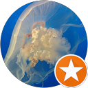 Sacramento Plumber Service Norman Thompson JR profile picture